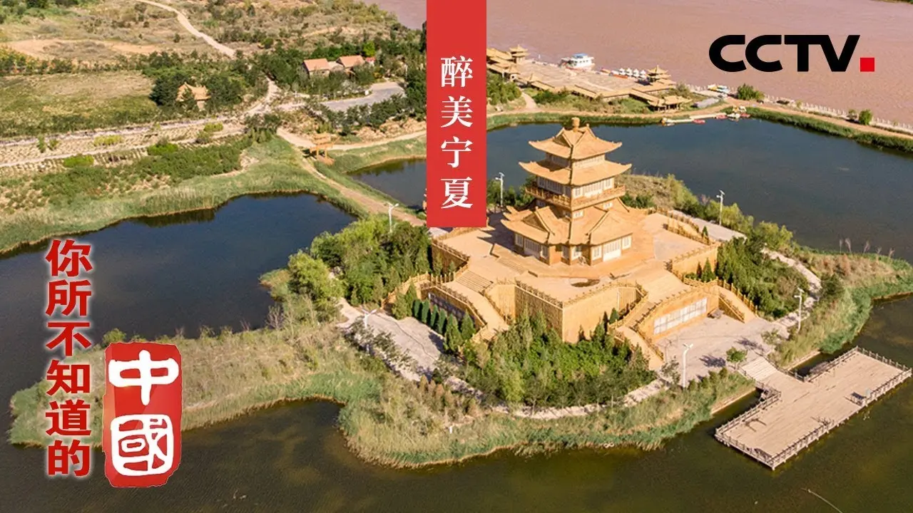 《塞上江南》影评：壮美风光与人性救赎的史诗之旅